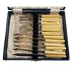 Image 2 : Antique Forks and Knives Set with Faux Bone Handles - 6 Place setting in fitted case