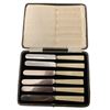 Image 4 : Vintage Faux Bone Handled Dessert Server Set & Set of 6 Dinner Knives in Fitted Case