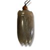 Image 1 : Carved Jade Chinese  Cicada Pendant - 10mm x 25mm x 42mm