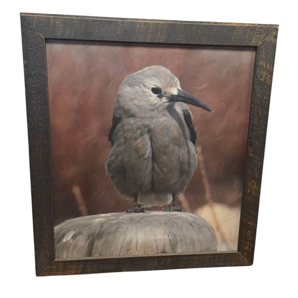 Large Wood Framed "Clark's Nutcracker" Print that hung in The Bay Vancouver - Framed dimensions: 38"