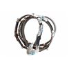 Image 1 : Navajo John Delvin Sterling, Turquoise Concho Belt