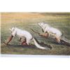 Image 7 : Karl Bodmer & George Catlin Color Tinted Etchings