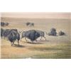 Image 8 : Karl Bodmer & George Catlin Color Tinted Etchings