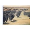 Image 9 : Karl Bodmer & George Catlin Color Tinted Etchings