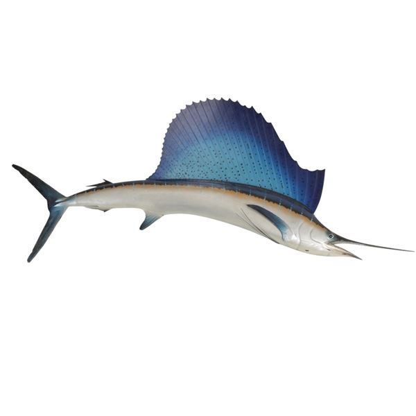 Large Sailfish Replica Mount 20th C