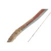 Image 29 : 19th-Cent. Comanche Bowcase, Quiver, Arrows & Bow