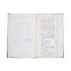 Image 9 : 1881 Anchor Consolidated Gold Silver Mining Ledger