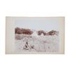 Image 1 : RARE L.A Huffman Cheyenne Plenty Bird Photo 1890