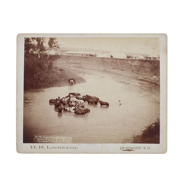 H.R. Locke Montana Crow Ponies Custer Battlefield