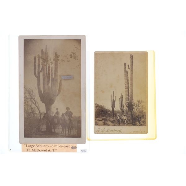 F.A. Hartwell Phoenix A.T. Cabinet Card Photos (2)