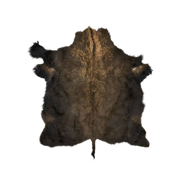 Montana Crow Buffalo Hide Wearing Robe Rug
