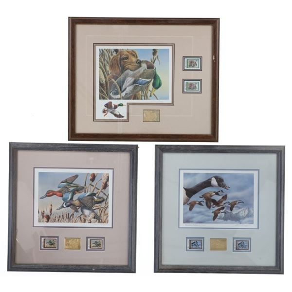 Montana Waterfowl Gold Stamp Artwork by Thornbrugh