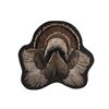 Image 1 : 20th C. Tom Turkey Splayed Taxidermy Display