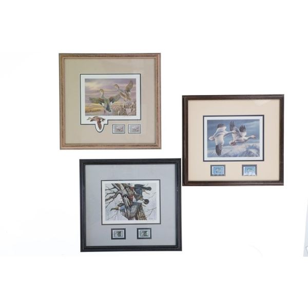 Montana Waterfowl Stamp & Art Display Collection
