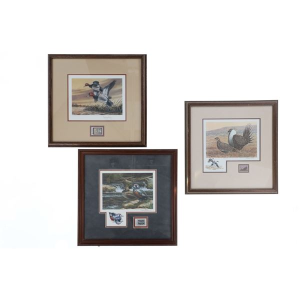 Montana Waterfowl Stamp & Art Display Collection