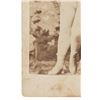 Image 12 : Prostitute Cabinet Card & CDV Photographs 19th C.