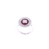 Image 1 : 18K White Gold Lady's Diamond & Ruby Ring