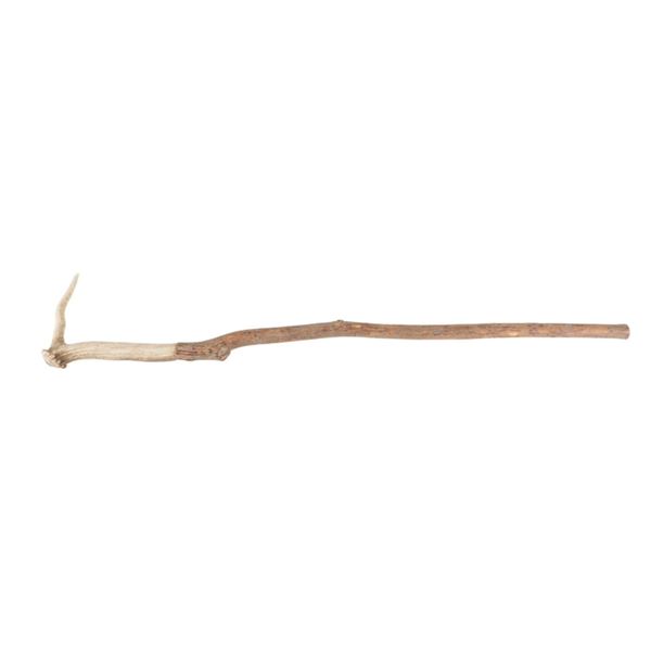 Stag Horn Hickory Walking Stick, circa mid- 20th C