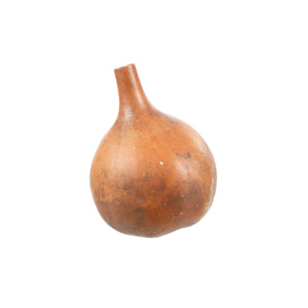 19th C. Peruvian High Neck Gourd Water Vessel