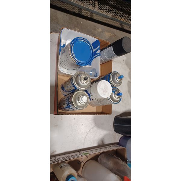 Flat with Assorted Paints