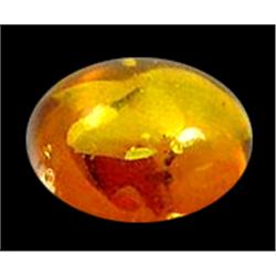 1ct Natural Baltic Honey Amber Gemstone  (GEM-11671A)
