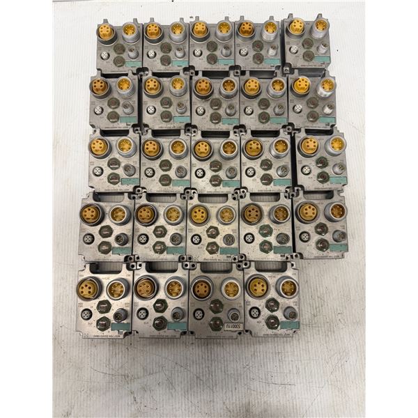 Lot of (24) Siemens #6ES7 194-3AA00-0BA0