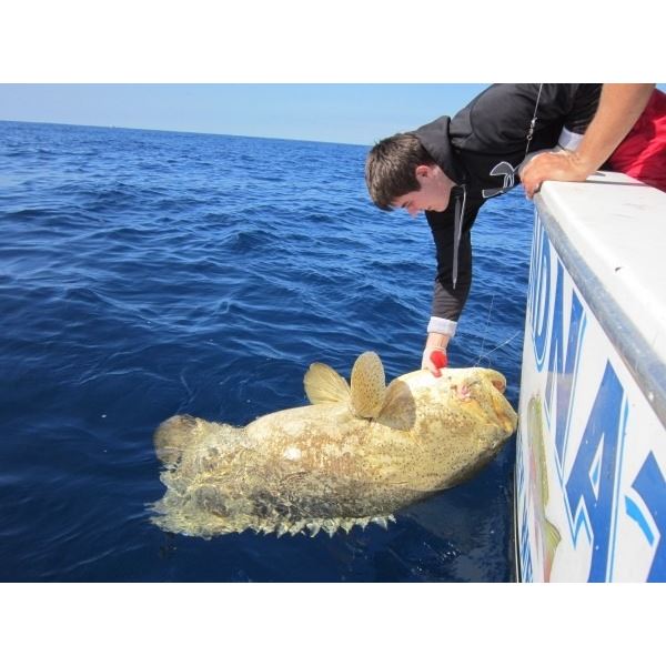 Florida Keys Guided Shark, Grouper, and Snapper Fishing Trip for 4, Full Day