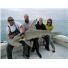 Image 2 : Florida Keys Guided Shark, Grouper, and Snapper Fishing Trip for 4, Full Day