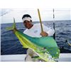 Image 3 : Florida Keys Guided Shark, Grouper, and Snapper Fishing Trip for 4, Full Day