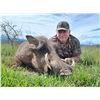 Image 2 : Mankazana Safari, One Trophy Black Wildebeest and One Trophy Warthog Included.