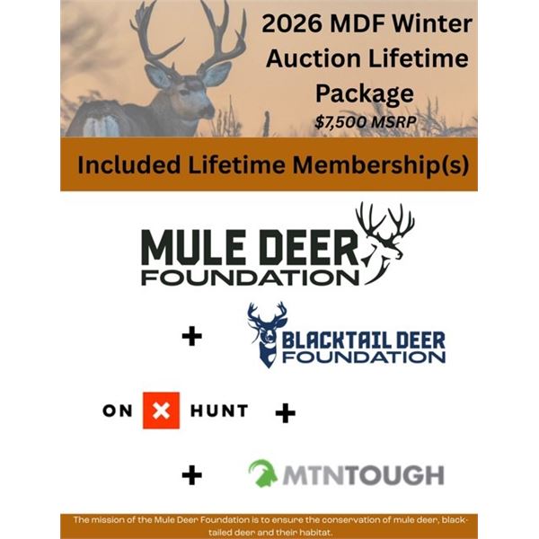 The Lifetime Package