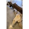 Image 9 : Weatherby ICON Mark V Deluxe & One of kind Buck Bowie Knife (1 of 40)