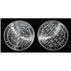 Image 2 : (2) 1 OZ OPM METALS .999 SILVER ROUNDS