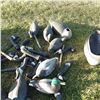 Image 4 : Lot of decoy ducks and geese