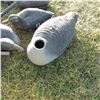 Image 6 : Lot of decoy ducks and geese