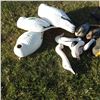 Image 8 : Lot of decoy ducks and geese