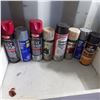 Image 4 : Lot of shop fluids and paints note have been stored in the container over a couple of winters