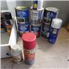 Image 5 : Lot of shop fluids and paints note have been stored in the container over a couple of winters