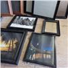 Image 6 : Picture frames