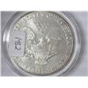Image 2 : 1989 American Silver Eagle (UNC) Colorized