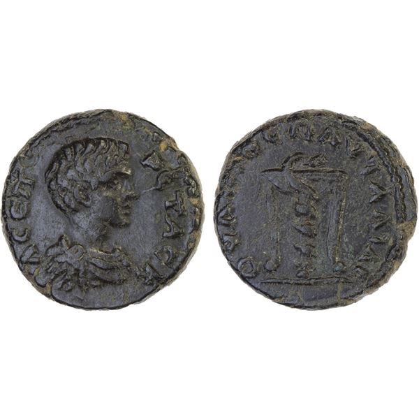 ROMAN PROVINCIAL, THRACE: Pautalia, Geta, as caesar, 198-209, AE17 (4.61g), Choice VF