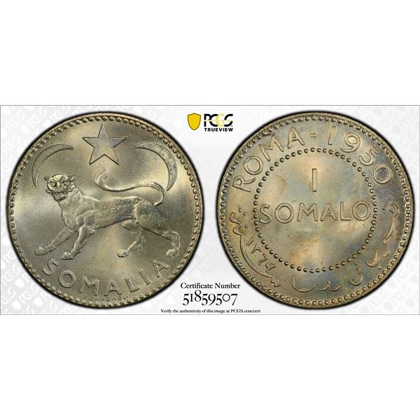 SOMALIA: Trust Territory, AR somalo, 1950/AH1369, PCGS MS66