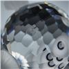 Image 5 : Swarovski Crystal Figurine, Large Blowfish 010013
