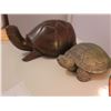 Image 4 : Turtles, Lamp A