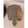 Image 7 : Turtles, Lamp A