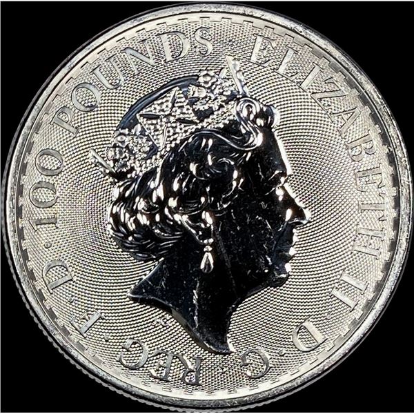 2022 Platinum 1 oz Britannia Ã‚Â£100 SUPERB GEM BU
