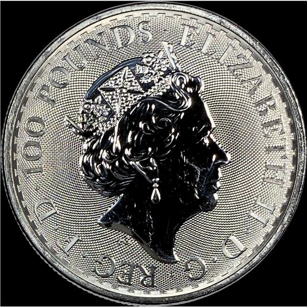 2022 Platinum 1 oz Ã‚Â£100 Britannia SUPERB GEM BU