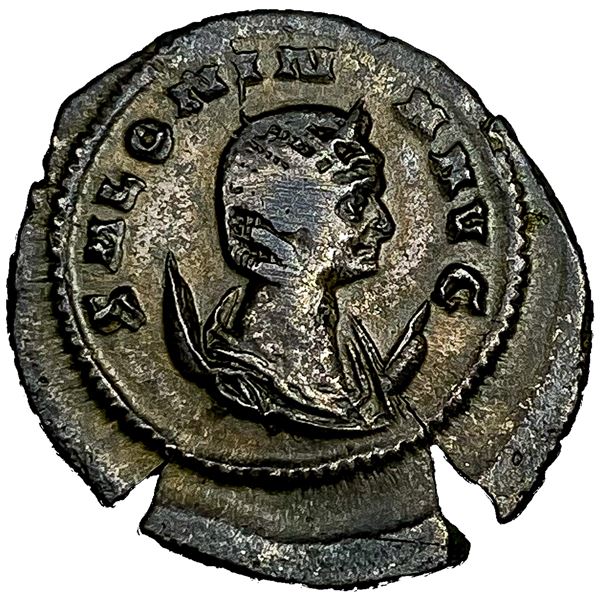 Salonina Billion Ant. Pvdicitas