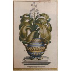 2 Botanical Eng of Potted Plants