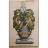 Image 1 : 2 Botanical Eng of Potted Plants